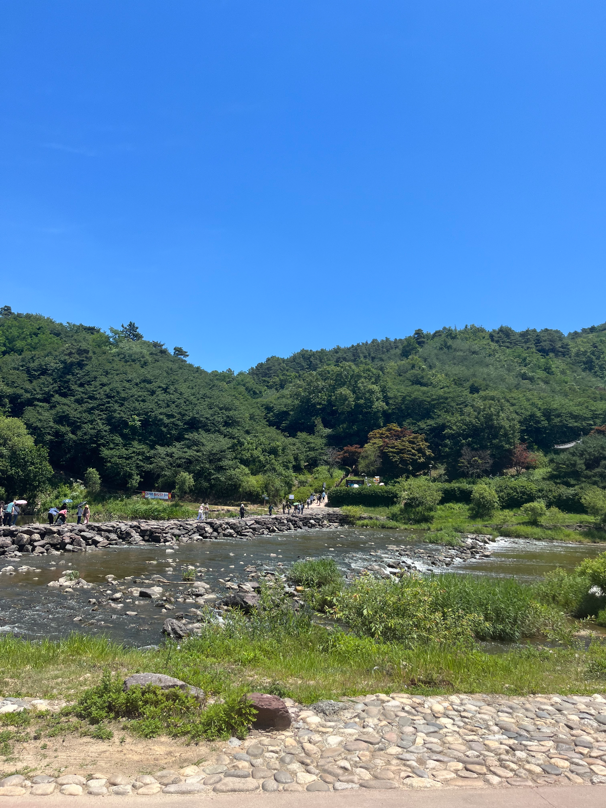 진천명품휴미락캠핑장